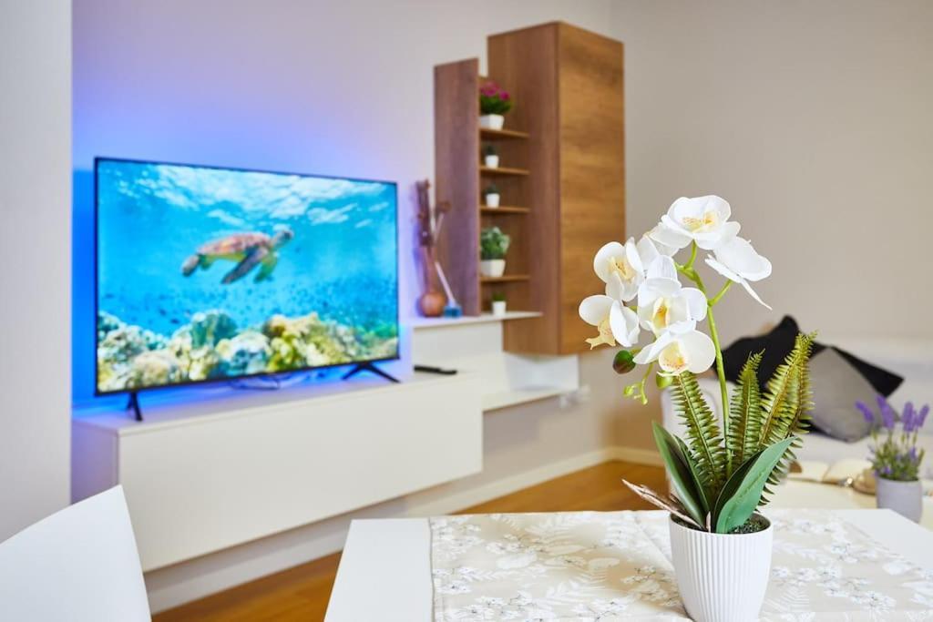 Center Aviano Comfort Suite Free Parking Wifi 외부 사진